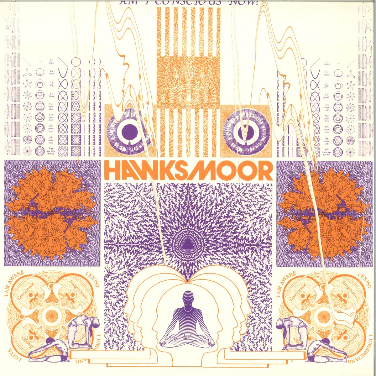 Hawksmoor — AM I CONSCIOUS NOW ? vinyl cover