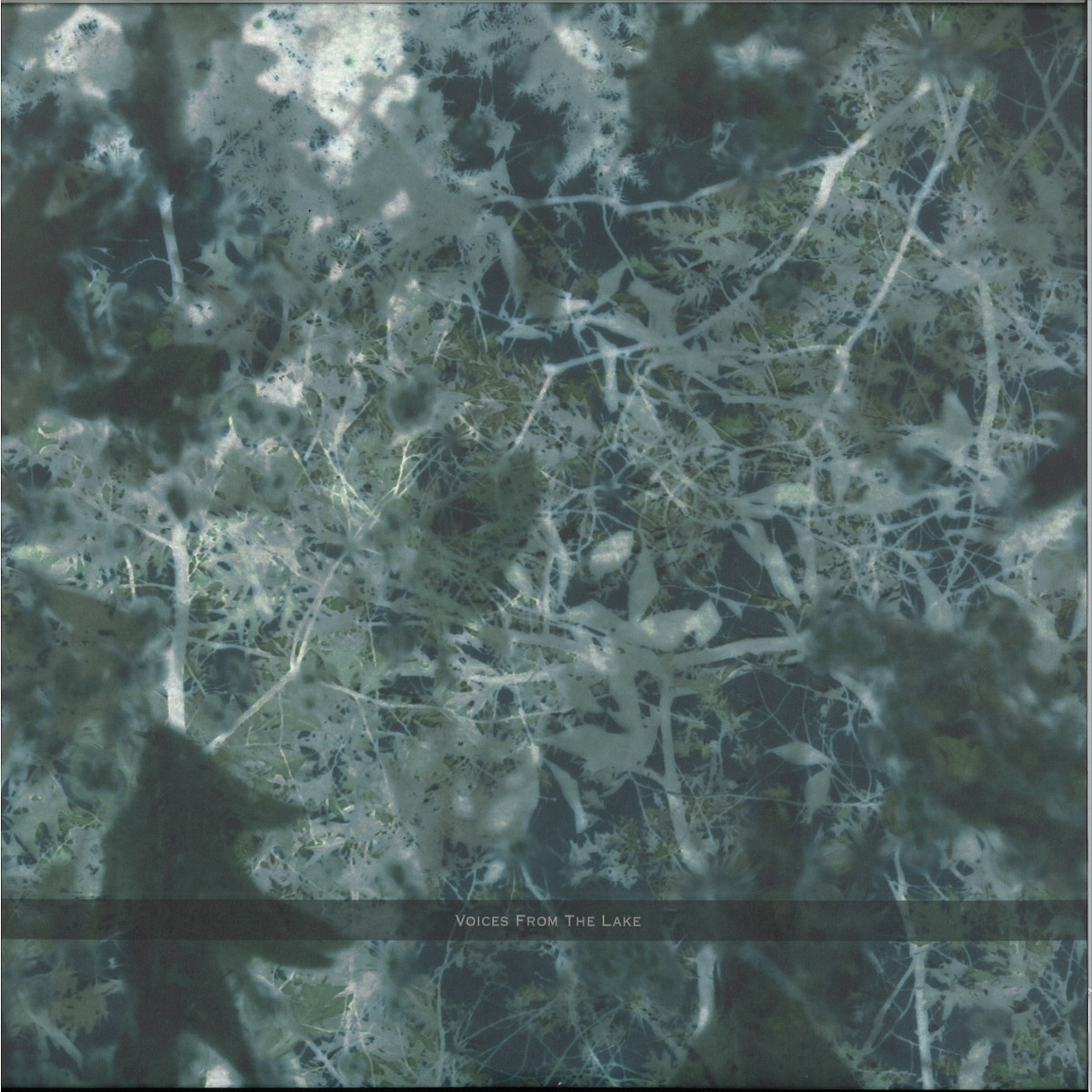 Voices From The Lake — Voices From The Lake (2023 Edition) 4x12" vinyl cover