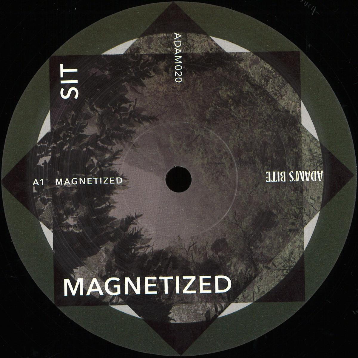 Sit — Magnetized vinyl cover