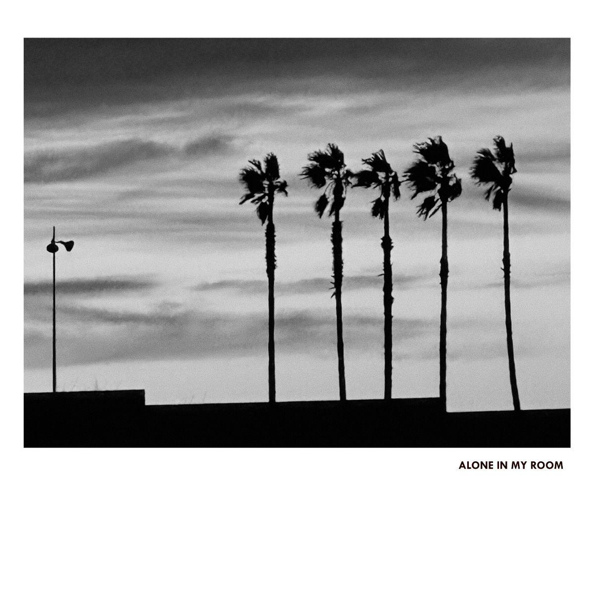 Alone IN MY Room — II LP vinyl cover