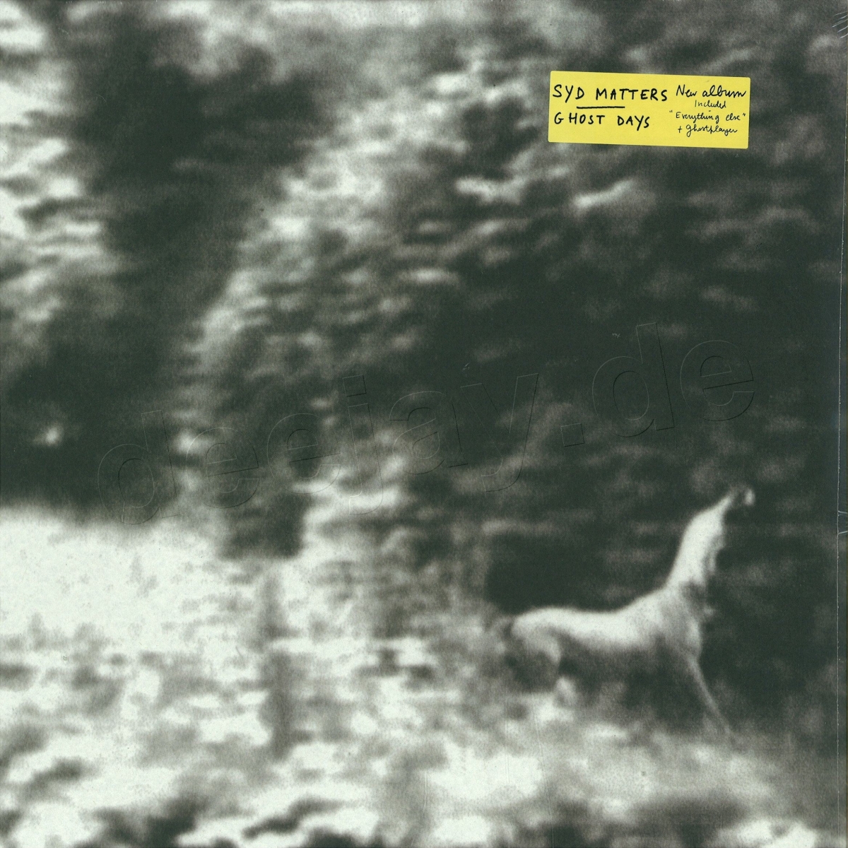 Ghost Days - Syd MATTERS