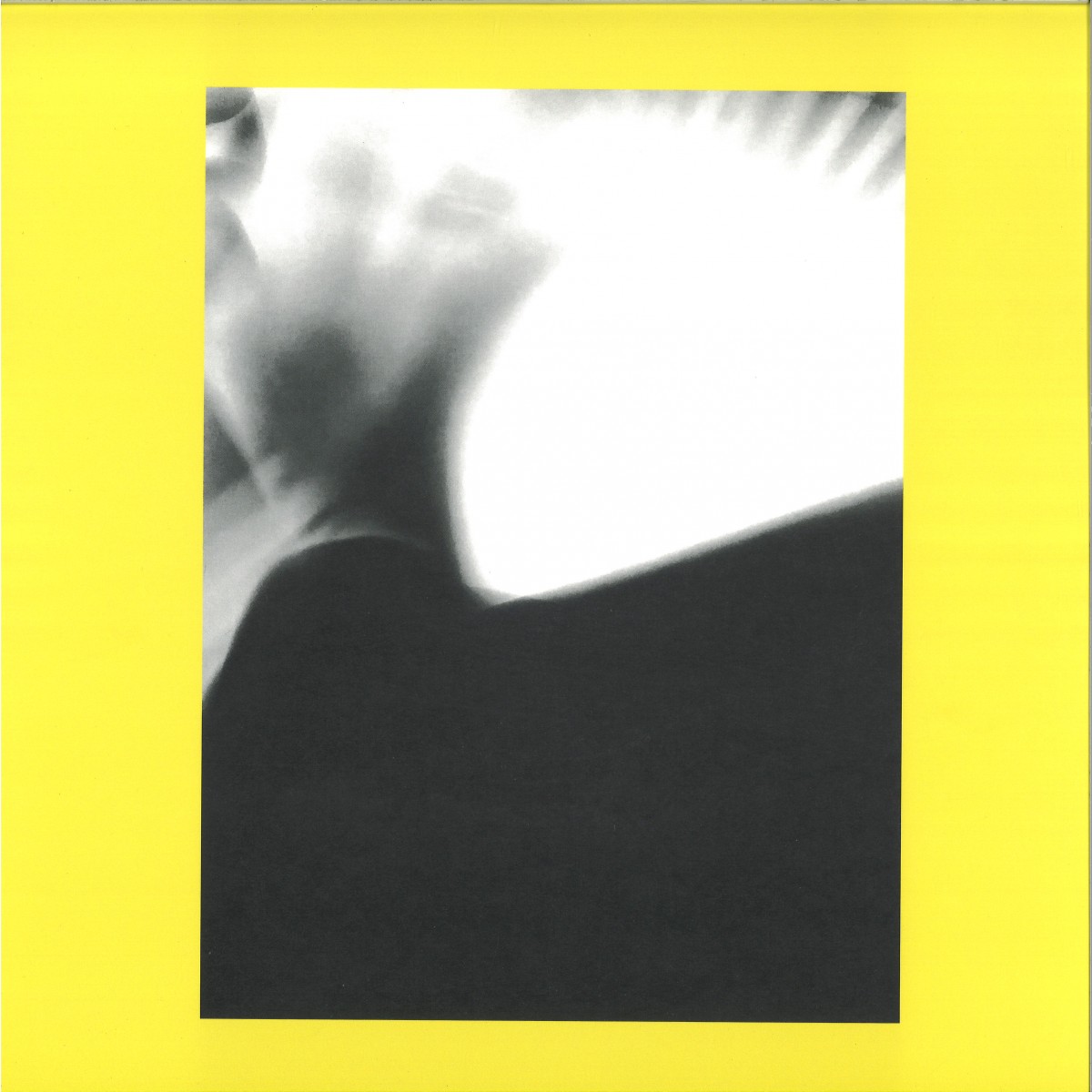 Selección Natural — Fictional Mathematics E vinyl cover