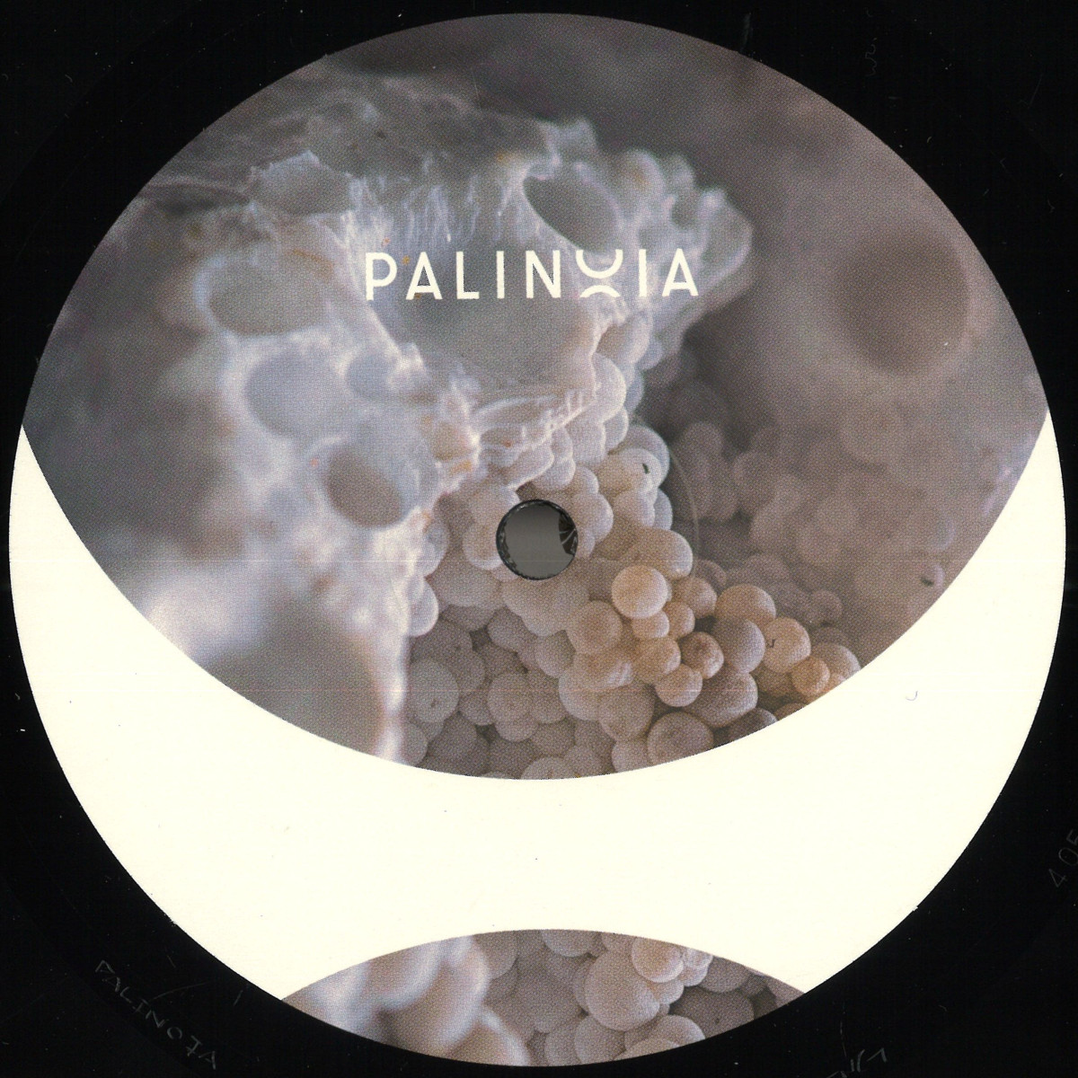 Eric Cloutier — Perpetual Booty Grooves Vol.1 vinyl cover