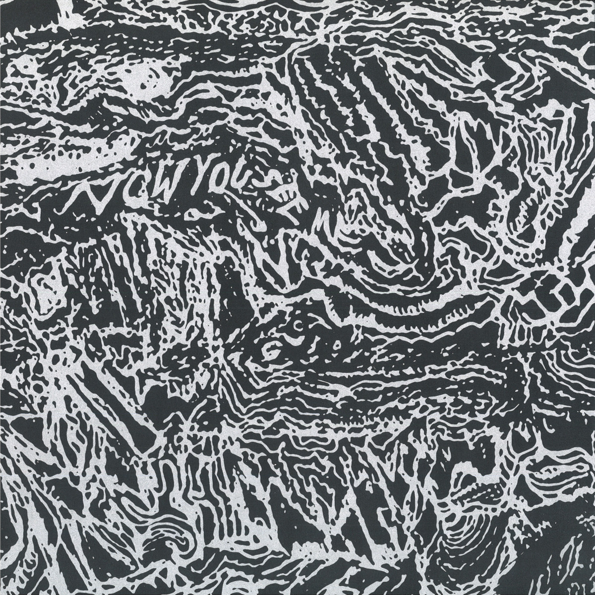 Marina Zispin — Now You See Me, Now You Don't vinyl cover