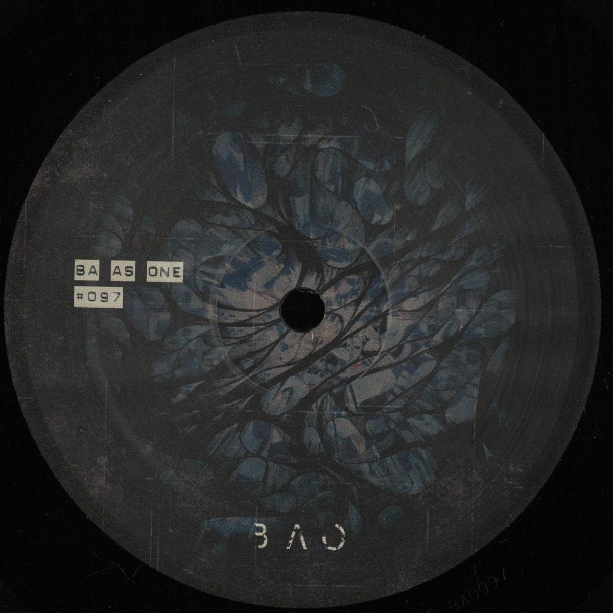 Kashpitzky — Crossing Path vinyl cover