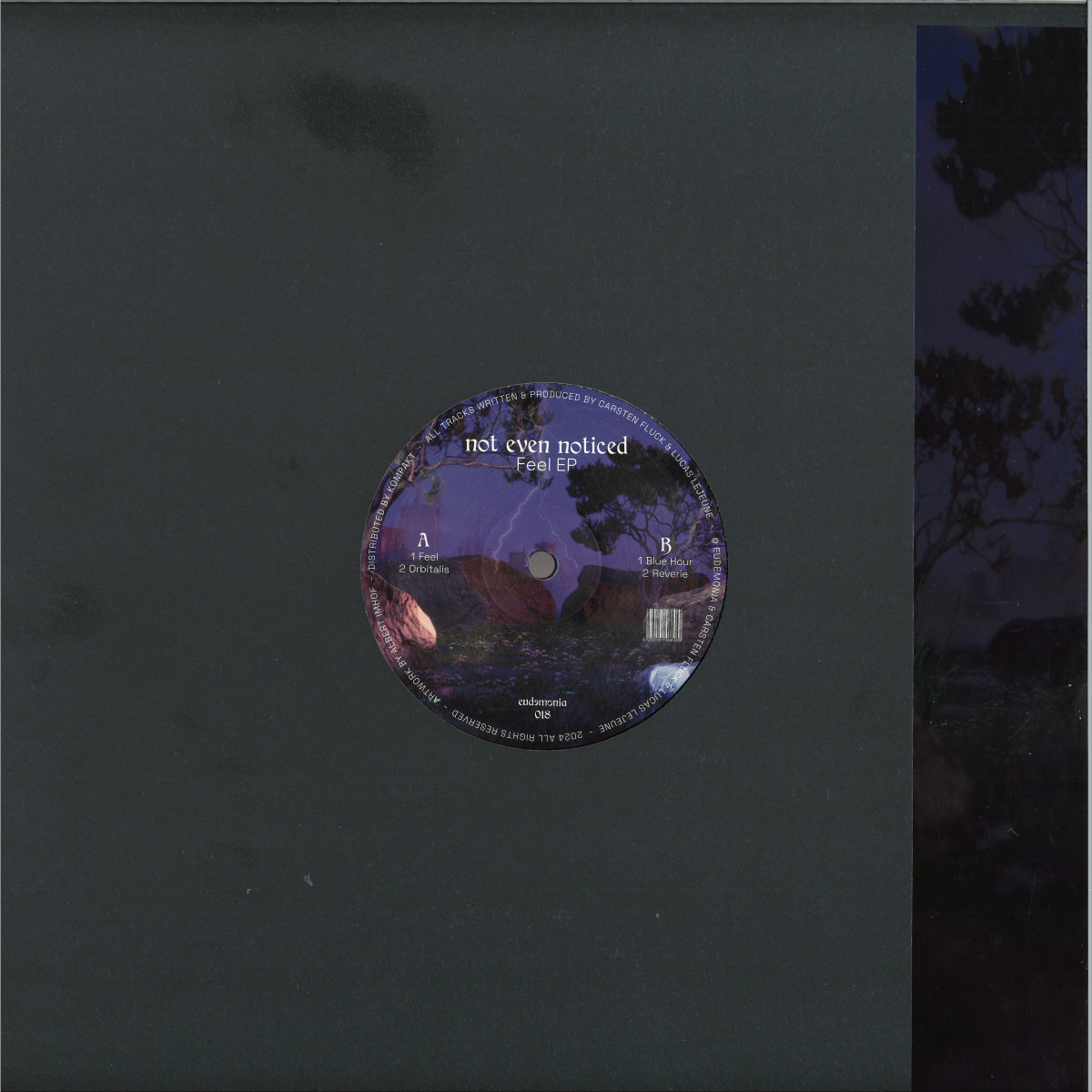 Not Even Noticed — Feel vinyl cover