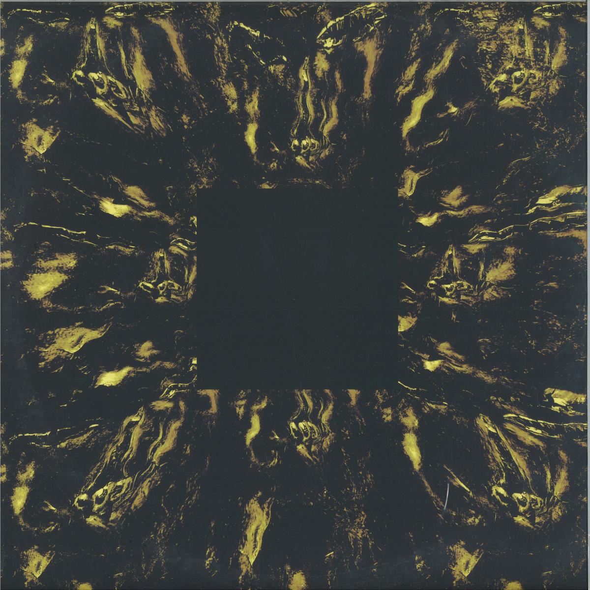 Hoavi — Architectonics LP vinyl cover