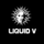 LIQUID V