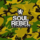 Soul Rebel Recordings