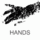 Hands