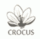 Crocus