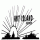 Hot Island Records