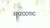 Epizootic Records