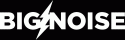 BIG NOISE MUSIC GROUP