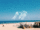 Lobster wrong Label
