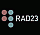 Rad 23