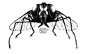 Fly Records