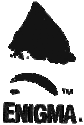 Enigma