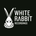 White Rabbit