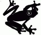 Frogs