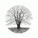 Silent Season
