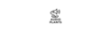 Audio Plants Recordings