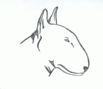 SEALION