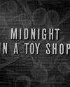Midnight in a Toyshop