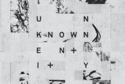 Unknown Entity
