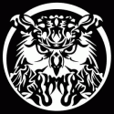 Koncept Kore