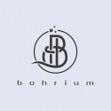 Bohrium Records