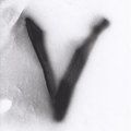 Voluminous Arts