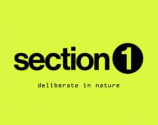 Section 1