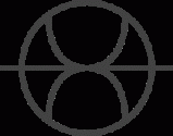 Radikon