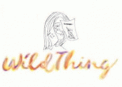 Wild Thing Records
