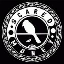 Scared Money