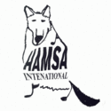 Hamsa International