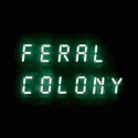 Feral Colony