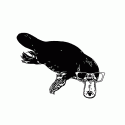 Platypus