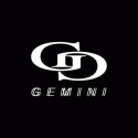 Gemini Gemini