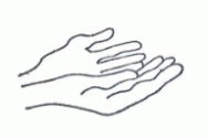 New Palm US