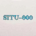 SITU Records