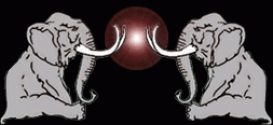 Talking Elephant