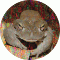 Frog Records