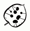 Lunaria Records