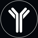 Antibody