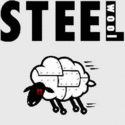 Steel Wool