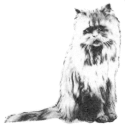 Miau Musikverlag