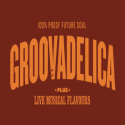 Groovadelica New Zealand