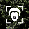 Indigo Kin